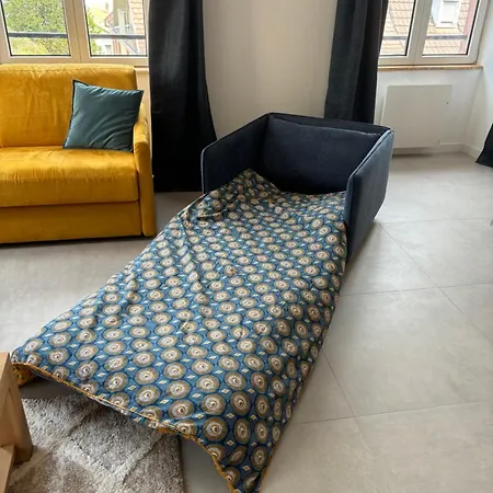 Eden Classer 3 Etoiles * Colmar